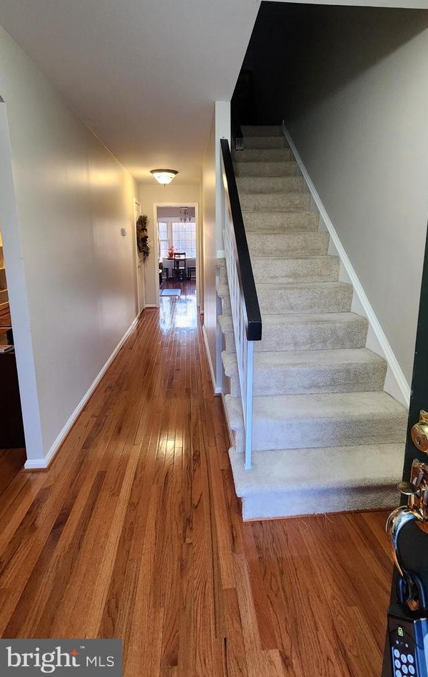 9025 Gavelwood Ct, Springfield, VA 22153
