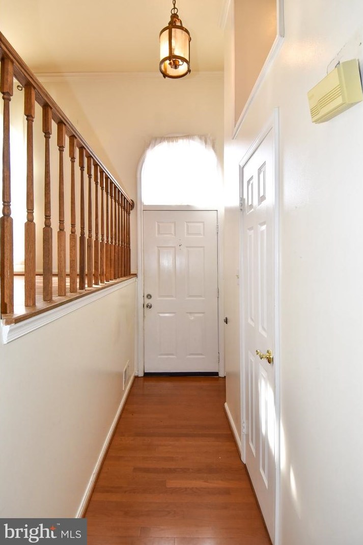 5716 Mason Bluff Dr, Springfield, VA 22015
