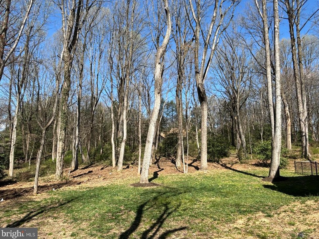 10125 Wendover Dr, Vienna VA  22181-2958 exterior