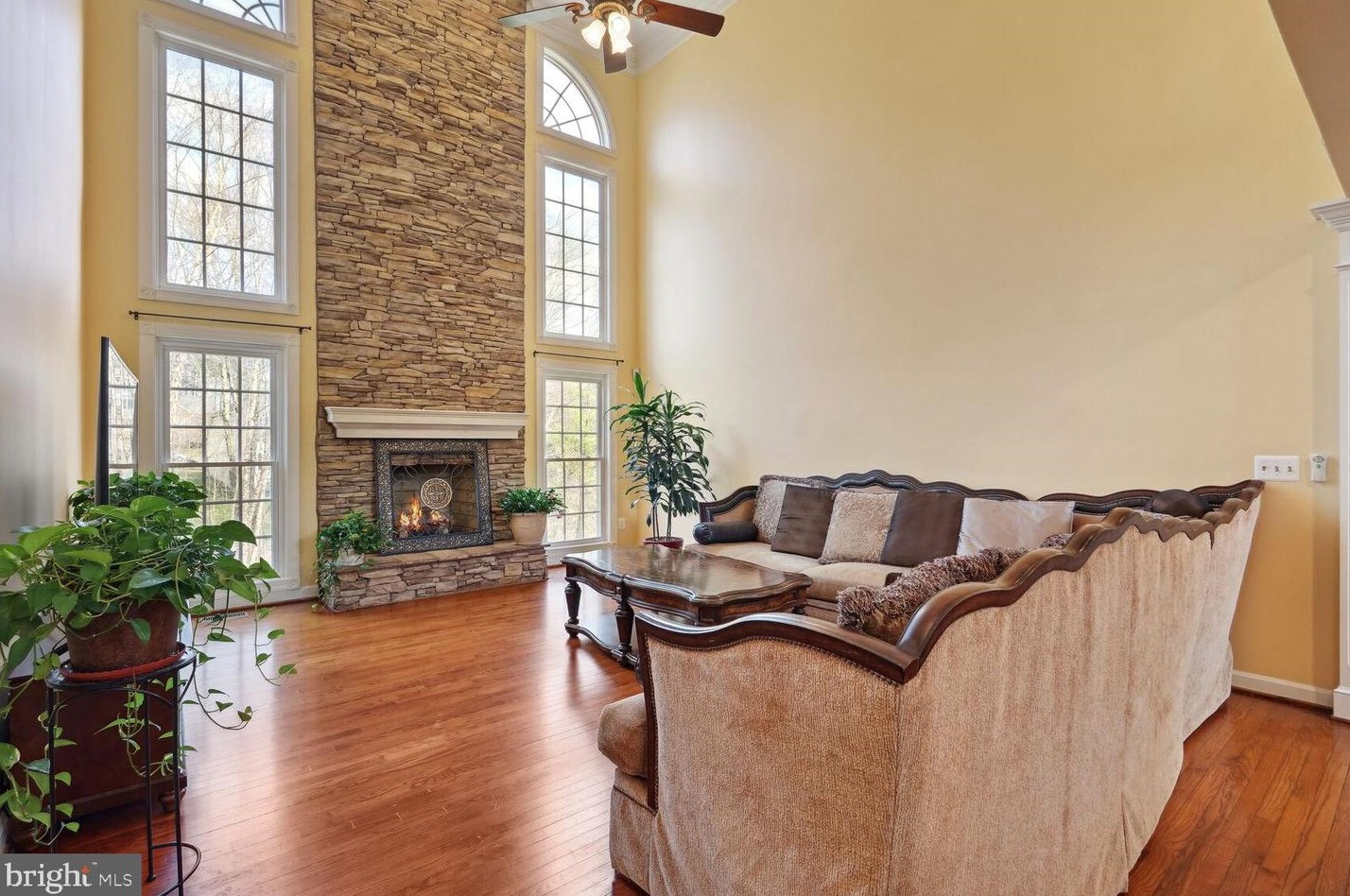 12812 Westbrook Dr, Fairfax VA  22030-8229 exterior