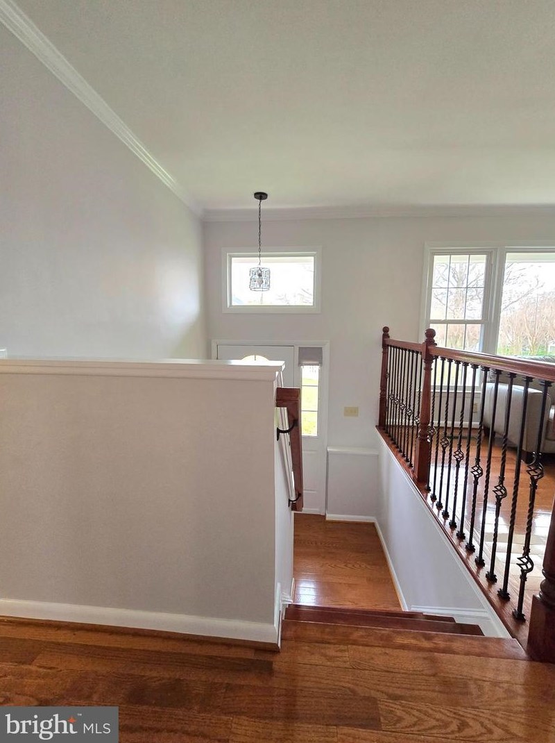 6447 Holyoke Dr, Annandale, VA 22003-2107