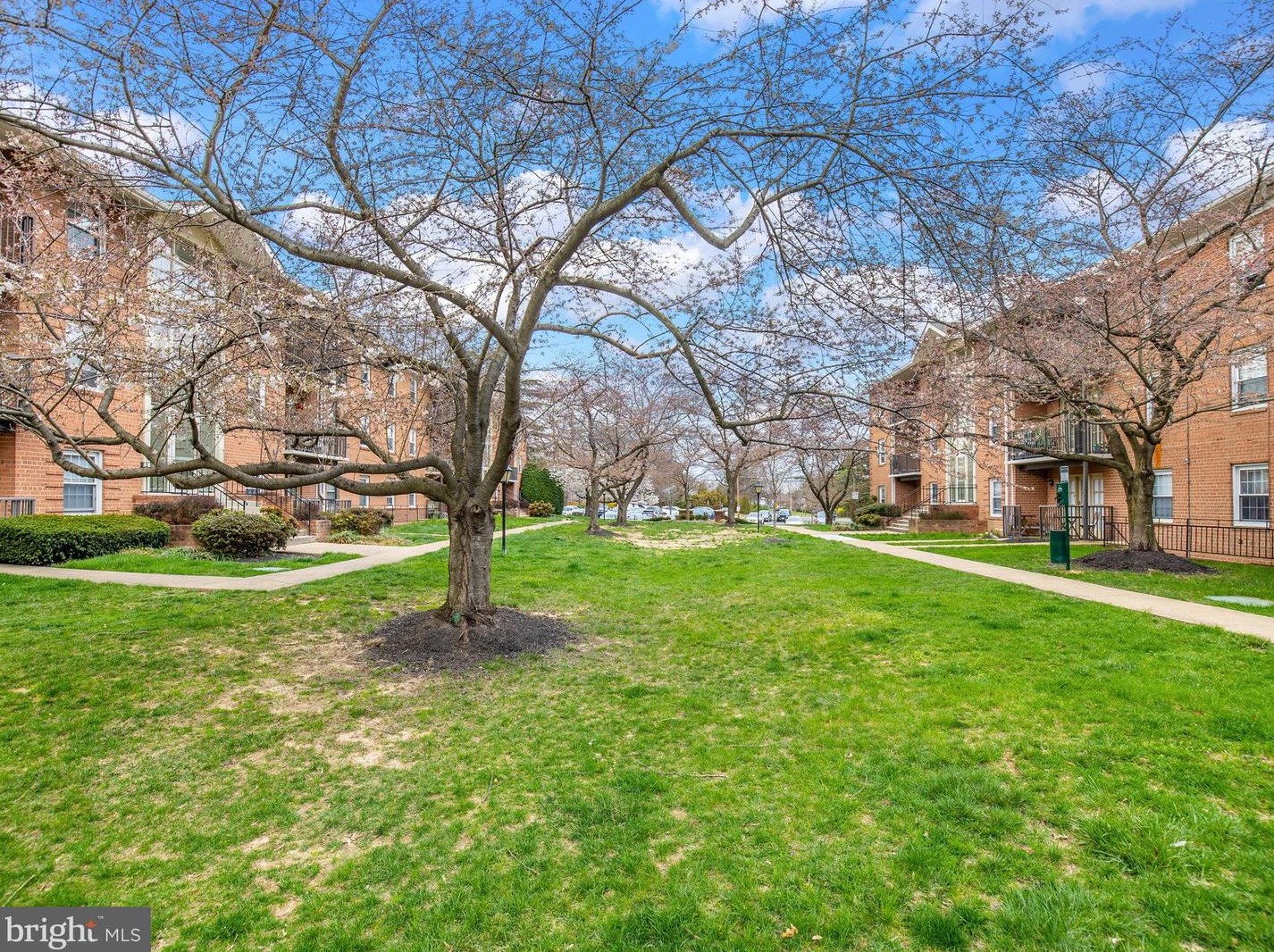 3334 Spring Ln, Falls Church VA  22041-2656 exterior