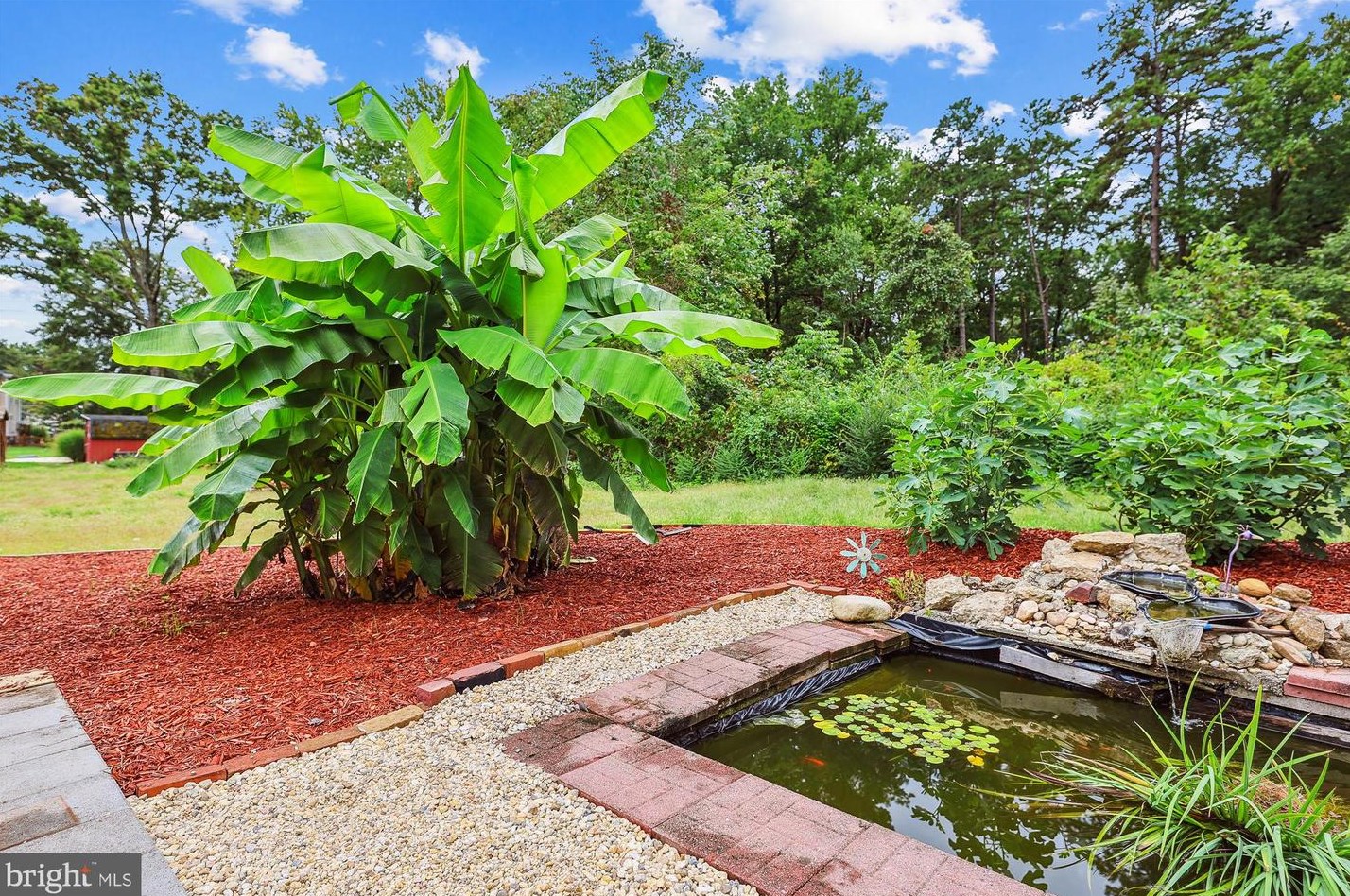 5117 Mount Vernon Memorial Hwy, Alexandria VA  22309-3319 exterior