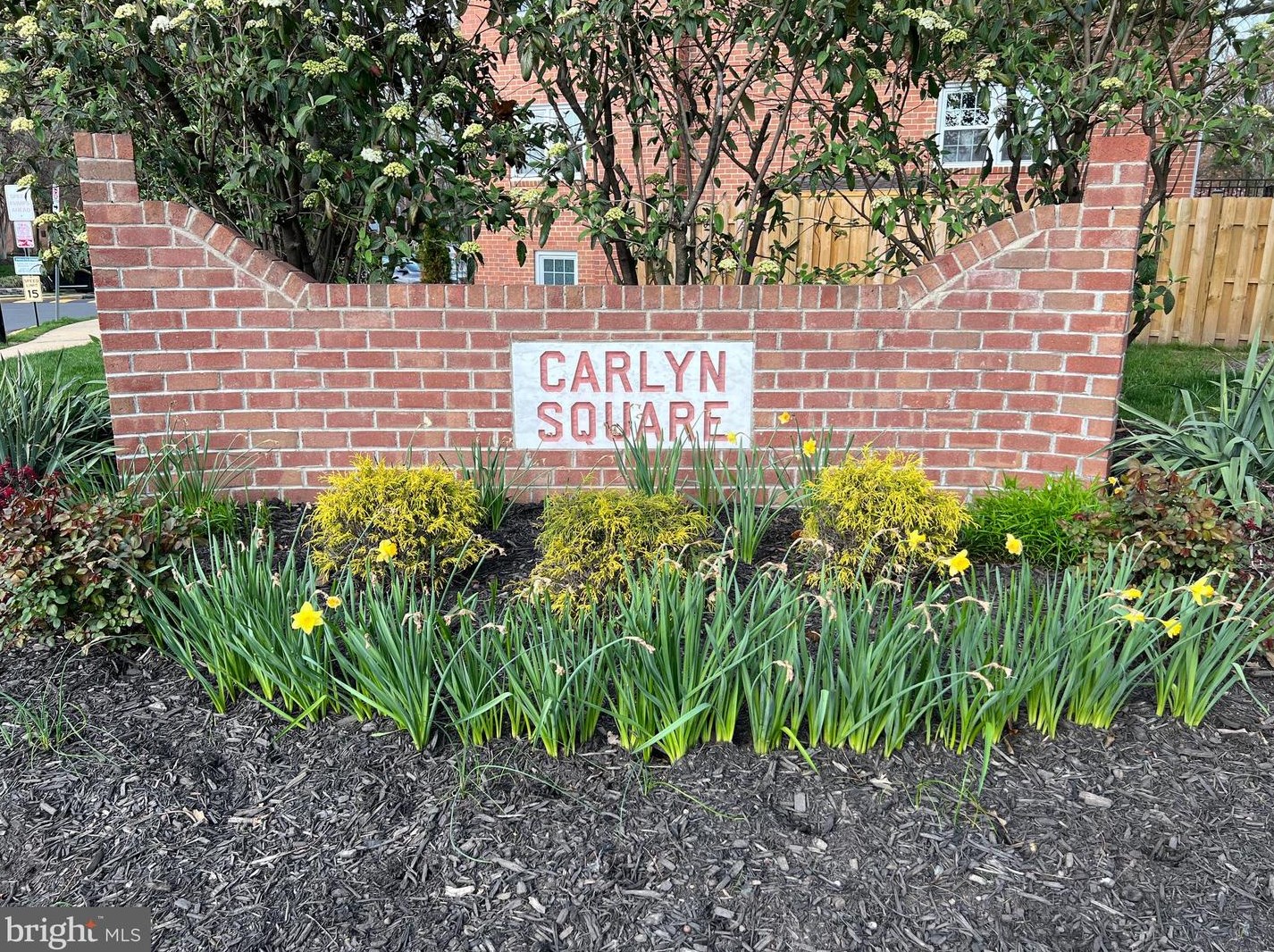 3230 Spring Ln, Falls Church VA  22041-2608 exterior