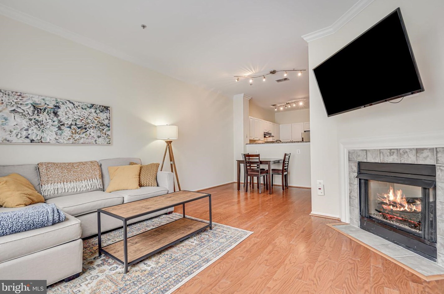 3009 Nicosh Cir #4207, Falls Church, VA 22042