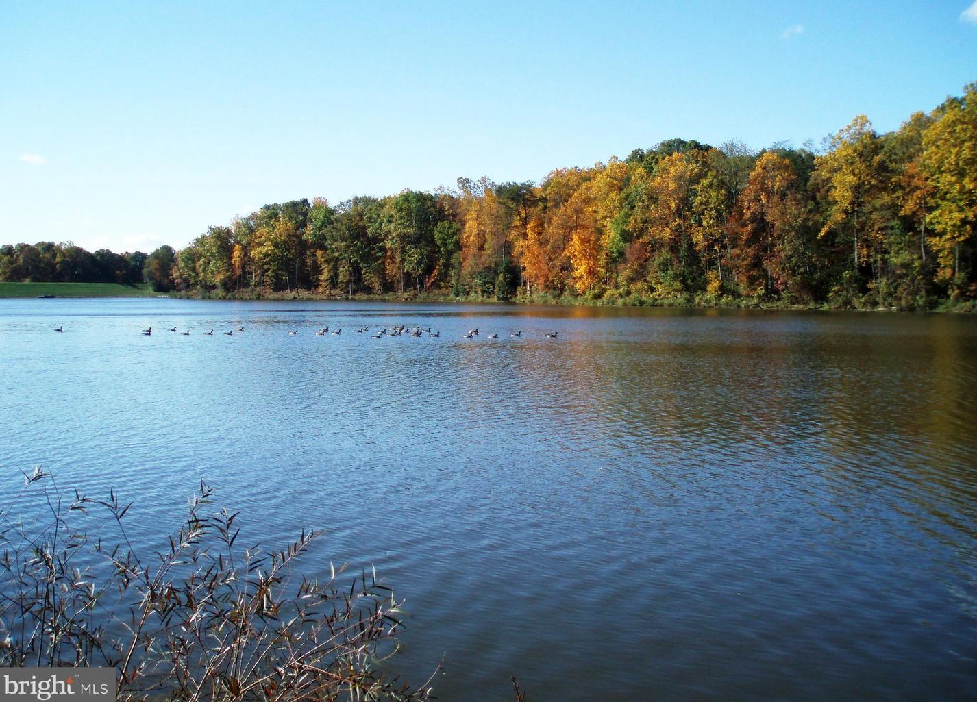 5120 Swift Ct, Fairfax VA  22032-2443 exterior