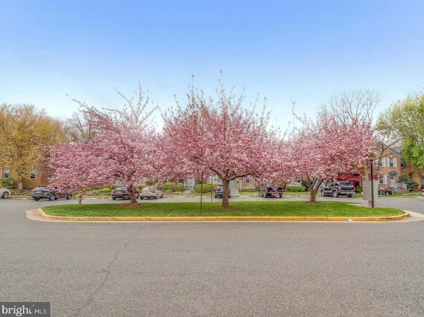 7964 Yancey Dr, Falls Church, VA 22042-4471