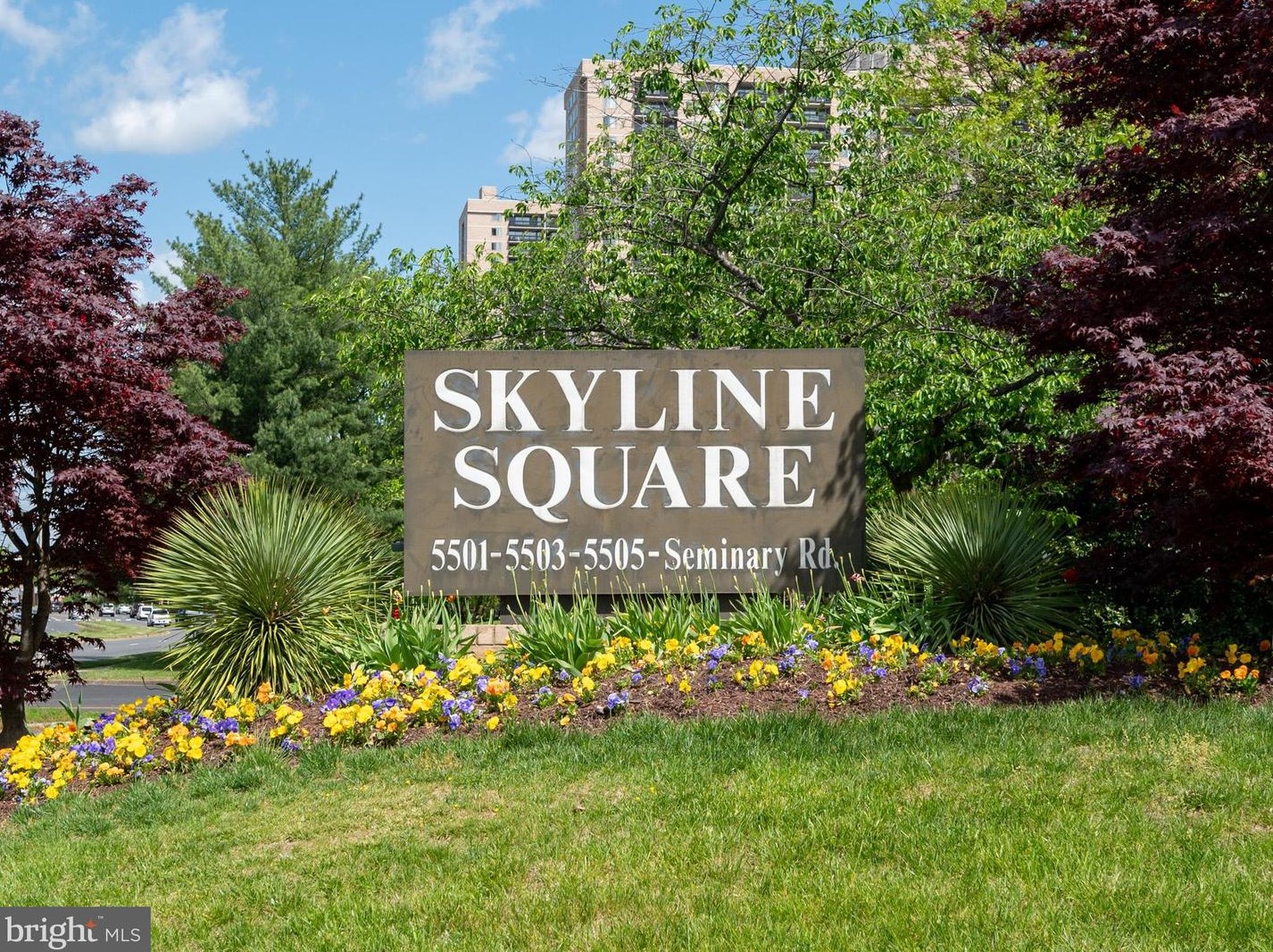 5501 Seminary Rd #1814s, Falls Church, VA 22041
