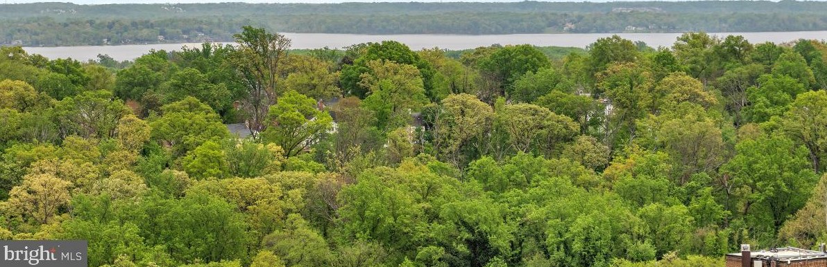 5902 Mt Eagle Dr #1402, Alexandria, VA 22303