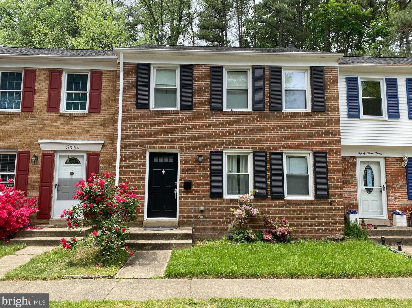 8332 Moline Pl, Springfield, VA 22153-3314