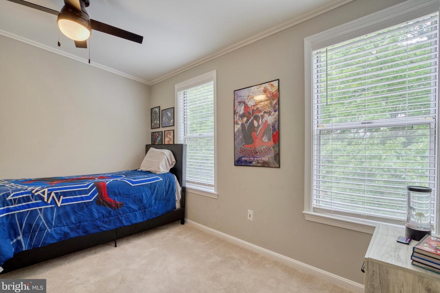 6113 Liverpool Ln, Alexandria VA 22315-4720 exterior