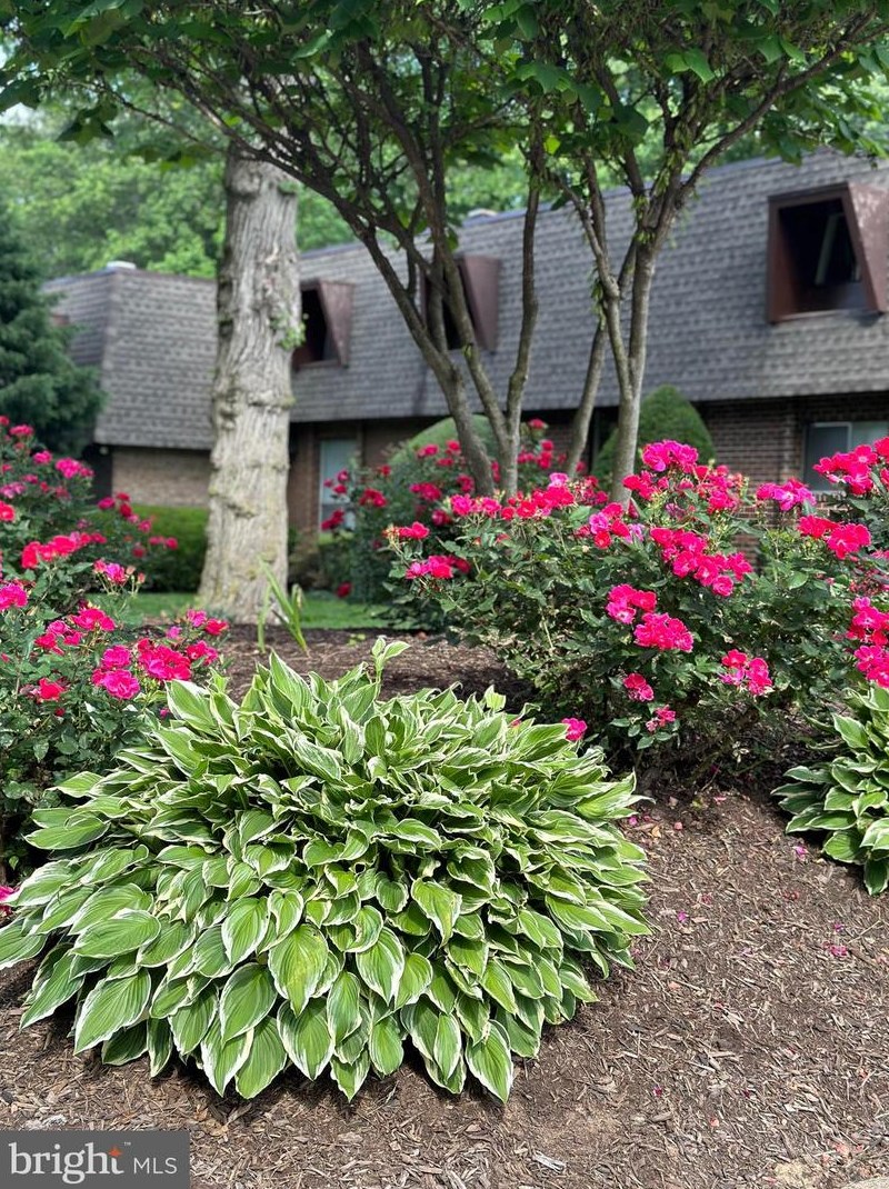 11611 Vantage Hill Rd #11b, Herndon, VA 20190