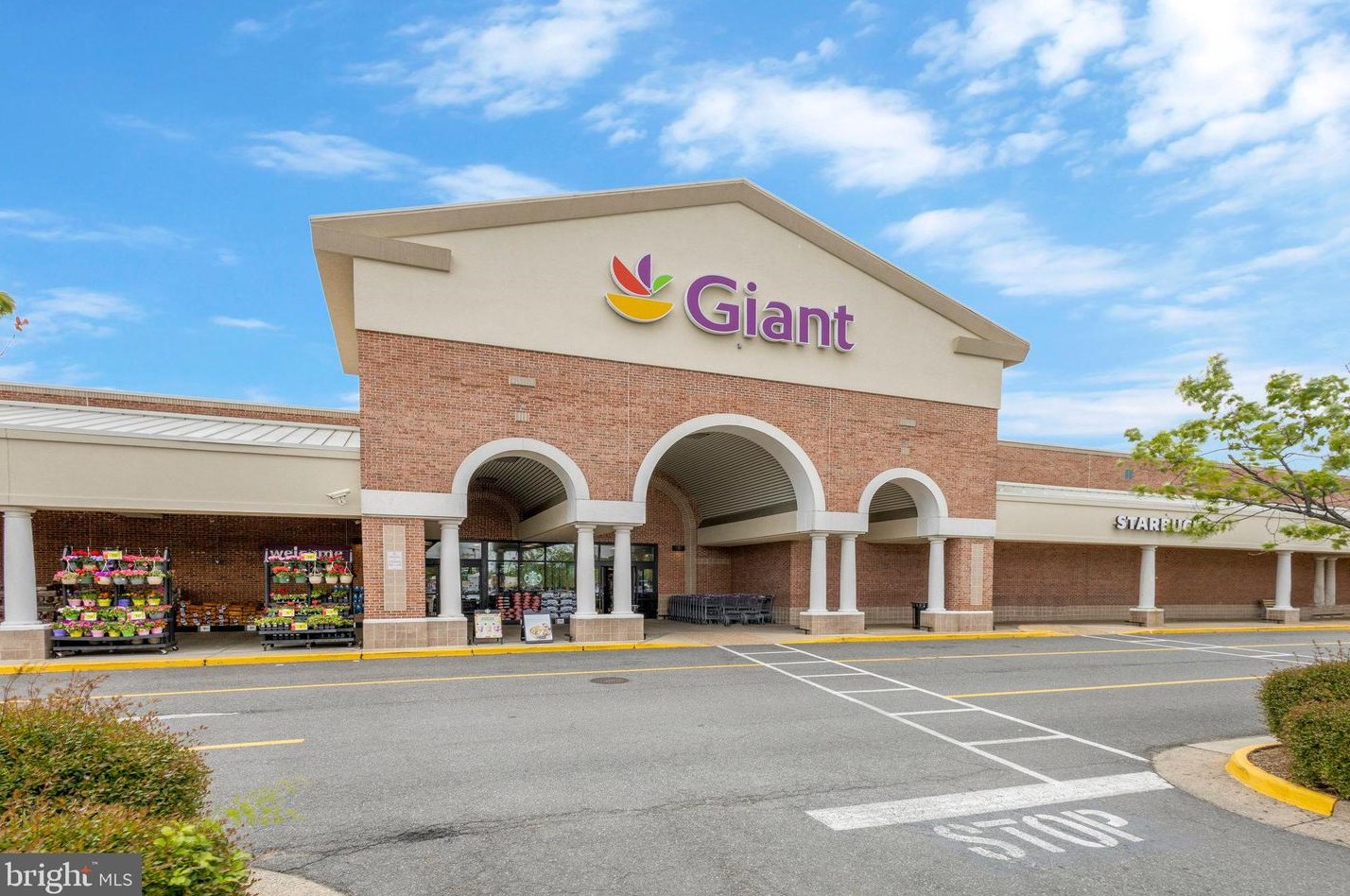 7465 Cross Gate Ln, Alexandria VA 22315-4621 exterior