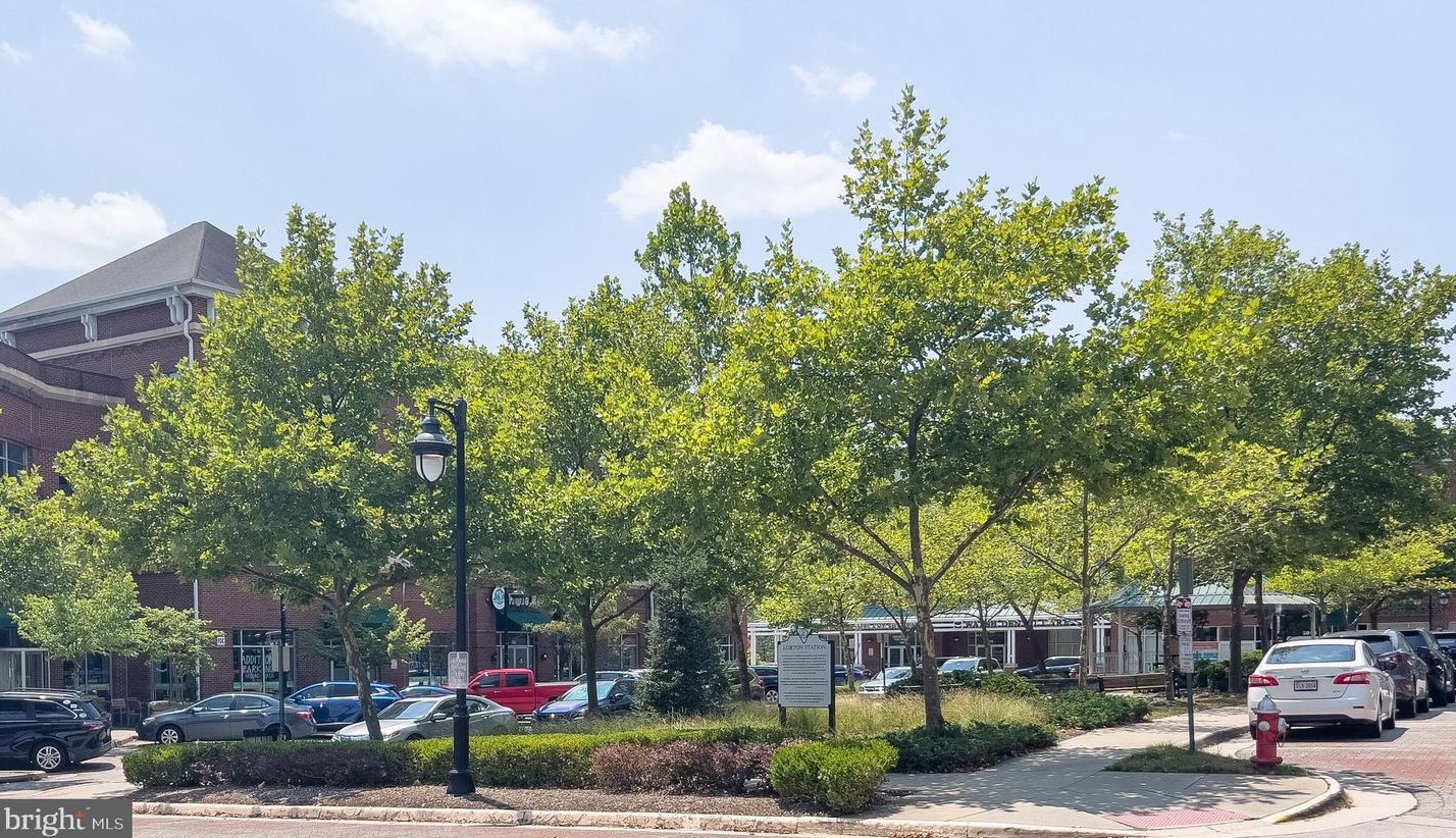 8474 Blue Oak Ct, Springfield VA  22153-3558 exterior