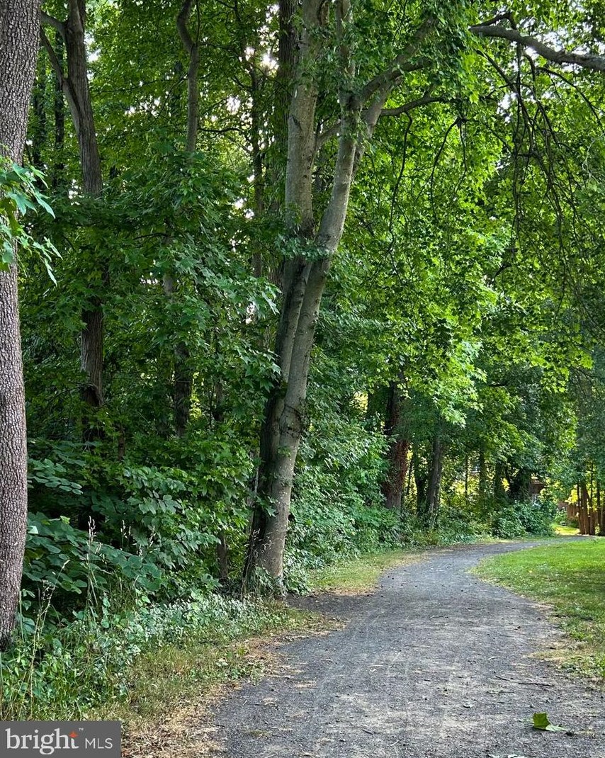 8210 Clifton Farm Ct, Alexandria VA  22306-3260 exterior