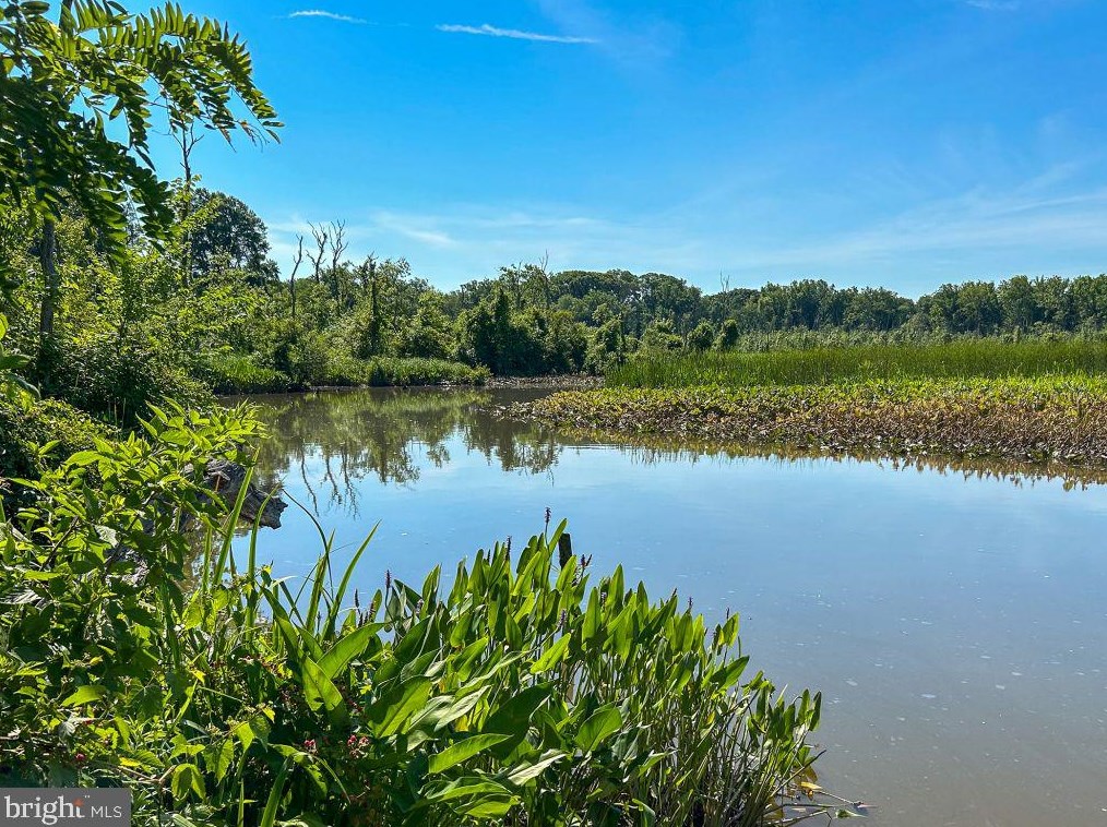 8210 Clifton Farm Ct, Alexandria VA  22306-3260 exterior