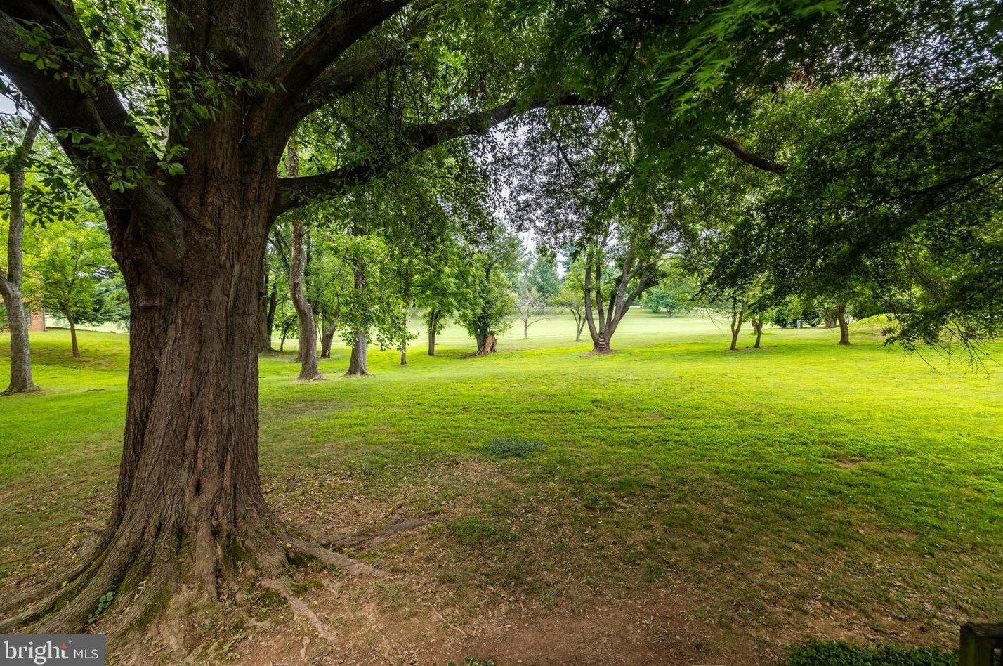 11721 Shore Dr, Herndon VA  20190-4506 exterior