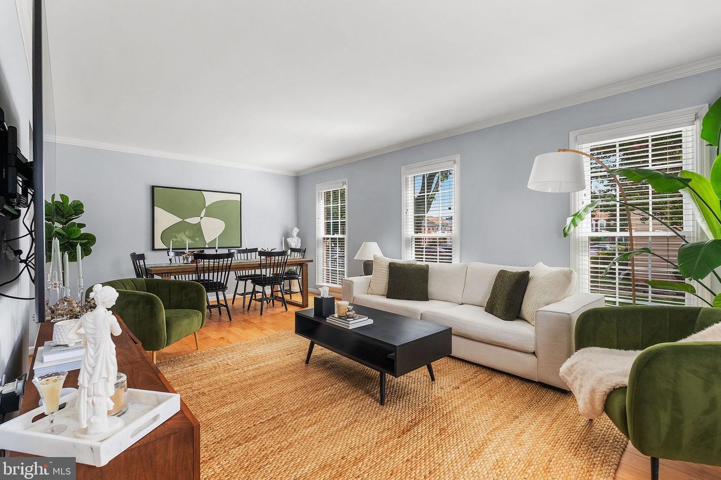 6580 Bermuda Green Ct, Alexandria VA  22312-3103 exterior