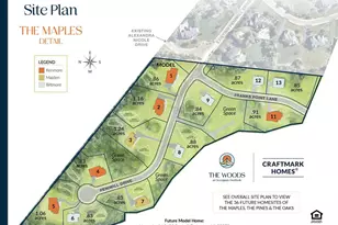 9205 Franks Pt Ln, Lorton, VA 22079 - Photo 26