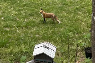 9140 Stonegarden Dr, Lorton, VA 22079 - Photo 24