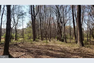 748 Kentland Drive, Great Falls, VA 22066 - Photo 2