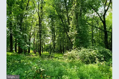 748 Kentland Drive, Great Falls, VA 22066 - Photo 8