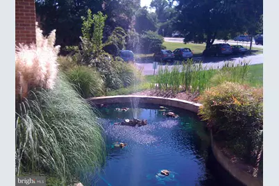 8136 Old Keene Mill Road #A209, Springfield, VA 22152 - Photo 4