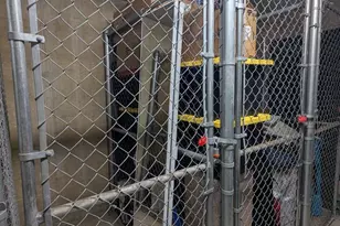 8183 Carnegie Hall Ct, Vienna, VA 22180 - Photo 32