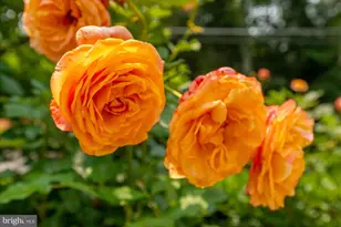 6804 Benjamin St, McLean, VA 22101 - Photo 4