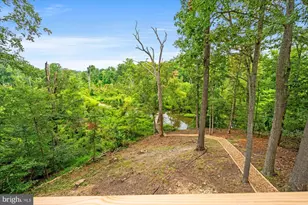 2408 William and Mary Dr, Alexandria, VA 22308 - Photo 30