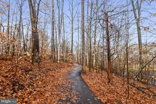 13713 Autumn Vale Ct, Chantilly, VA 20151 - Photo 44