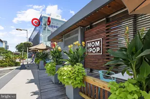 7748 New Providence Dr, Falls Church, VA 22042 - Photo 38