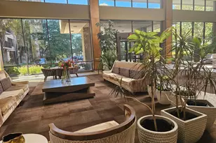 3709 George Mason Dr, Falls Church, VA 22041 - Photo 10