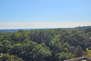 3709 George Mason Dr, Falls Church, VA 22041 - Photo 8