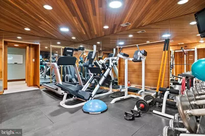 536 Springvale Road, Great Falls, VA 22066 - Photo 110