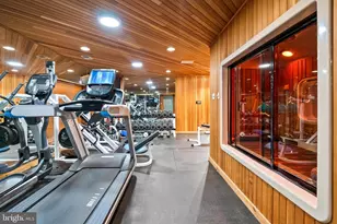 536 Springvale Rd, Great Falls, VA 22066 - Photo 112