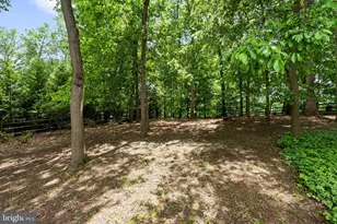 6707 Lupine Ln, McLean, VA 22101 - Photo 30