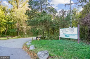 3335 Beechcliff Dr, Alexandria, VA 22306 - Photo 100