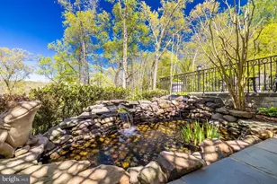 658 Live Oak Dr, McLean, VA 22101 - Photo 52