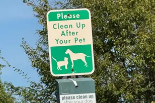 6301 Edsall Rd, Alexandria, VA 22312 - Photo 24