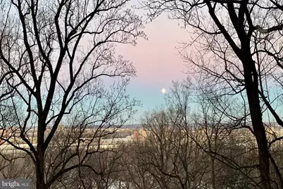 5901 Mount Eagle Drive #216, Alexandria, VA 22303 - Photo 12