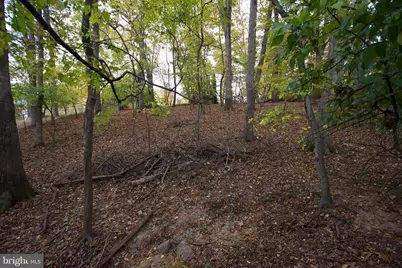 9921 Woodrow Street, Vienna, VA 22181 - Photo 28