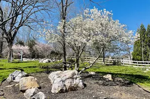 6830 Clifton Rd, Clifton, VA 20124 - Photo 78