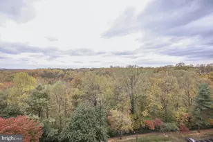 3800 Powell Ln, Falls Church, VA 22041 - Photo 2