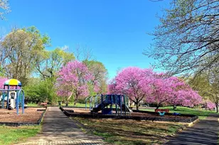 3151 Borge St, Oakton, VA 22124 - Photo 32