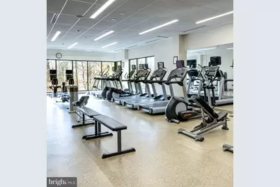 5902 Mount Eagle Drive #1410, Alexandria, VA 22303 - Photo 34