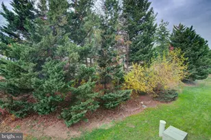 6964 Ellingham Cir, Alexandria, VA 22315 - Photo 8