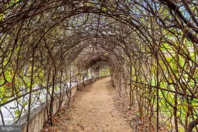 8350 Greensboro Drive #807 AND 809, McLean, VA 22102 - Photo 84