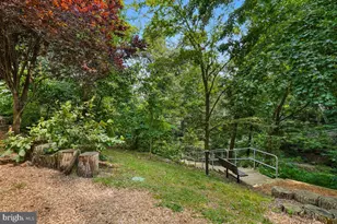 5904 Mt Eagle Dr, Alexandria, VA 22303 - Photo 76