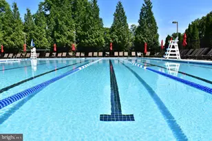 6208 Les Dorson Ln, Alexandria, VA 22315 - Photo 46